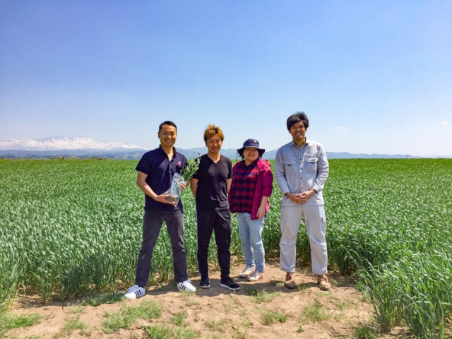 庄内産小麦への挑戦!【庄内産小麦 article no.1】
