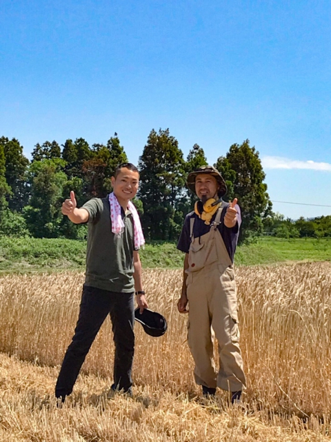 庄内小麦刈り取りです!【庄内産小麦 article no.2】