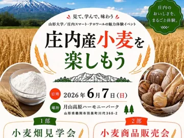 【初・一般開放！】大人も子どもも大歓迎！小麦畑見学会＆マルシェ開催のお知らせ