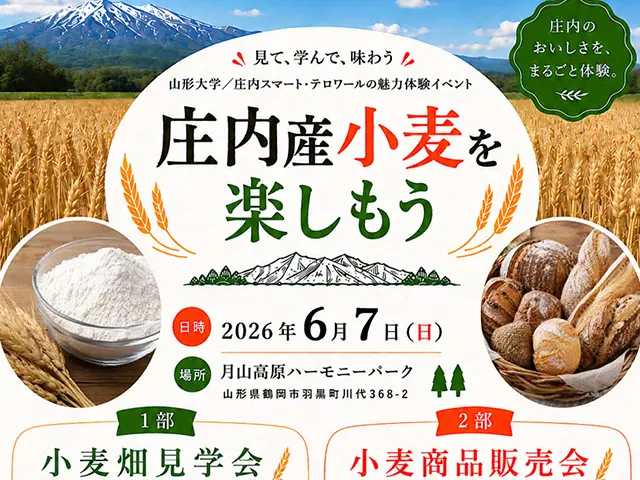 【初・一般開放！】大人も子どもも大歓迎！小麦畑見学会＆マルシェ開催のお知らせ